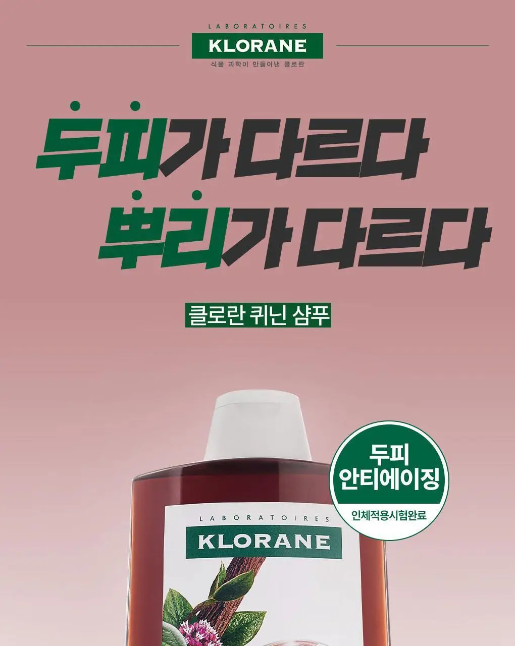 [두피활력&모발강화] 클로란 퀴닌 에델바이스 샴푸 400ml 상세페이지 5
